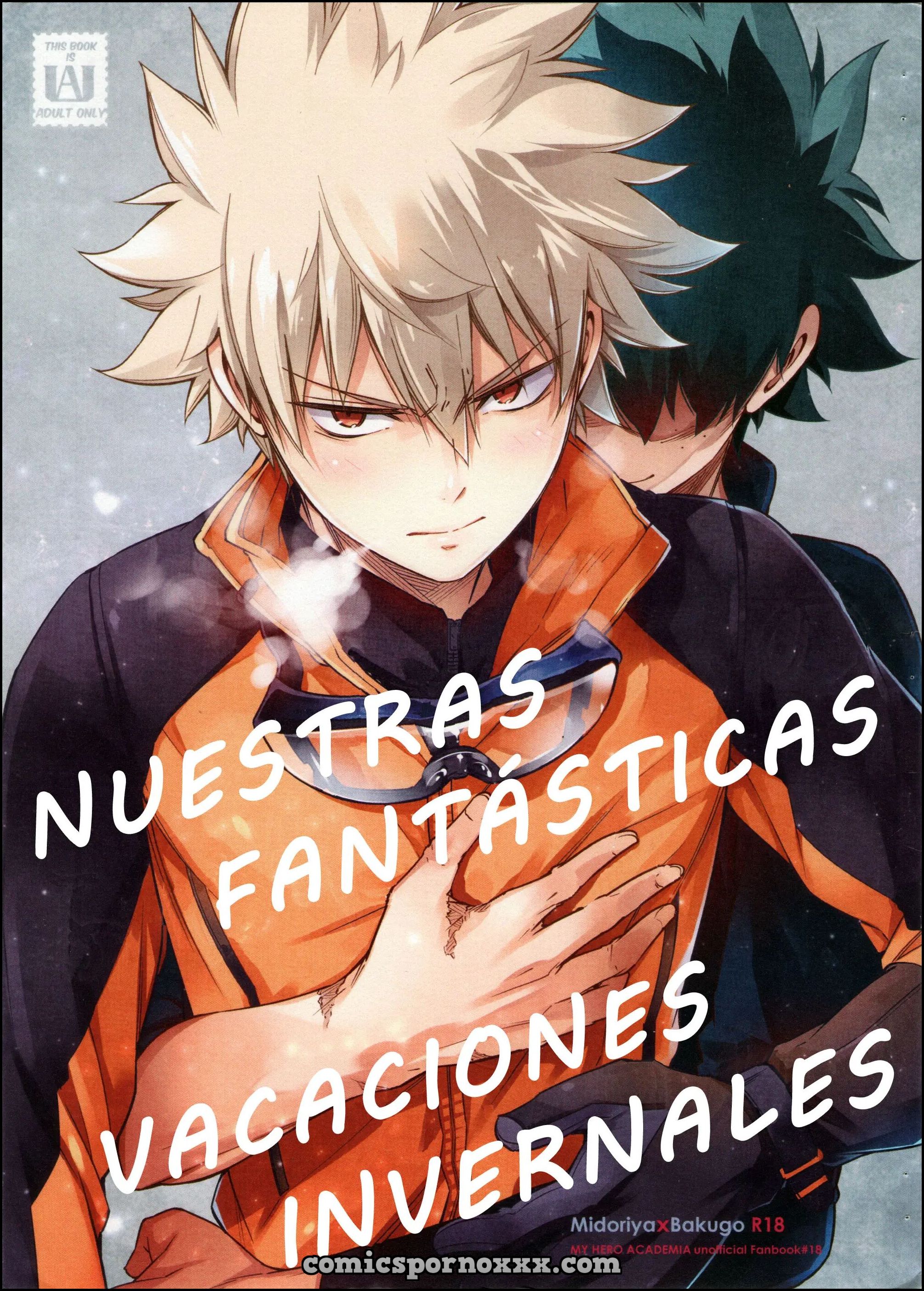 Ver - Nuestras Fantásticas Vacaciones Invernales (Boku no Hero Academia) - 1